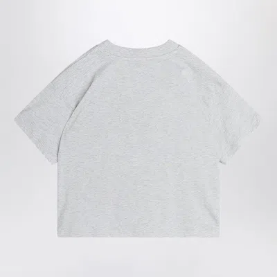 Mini Rodini Light Grey T-shirt With Flundra Print In Grey