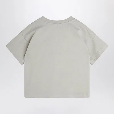 Mini Rodini Gray T-shirt With Seagull Print In Grey