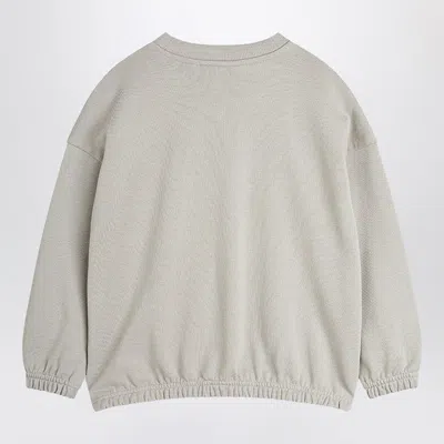 Mini Rodini Gray Sweatshirt With Seagull Print In Grey