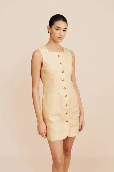 The Posse Emma Button Down Dress In Dusty Citron