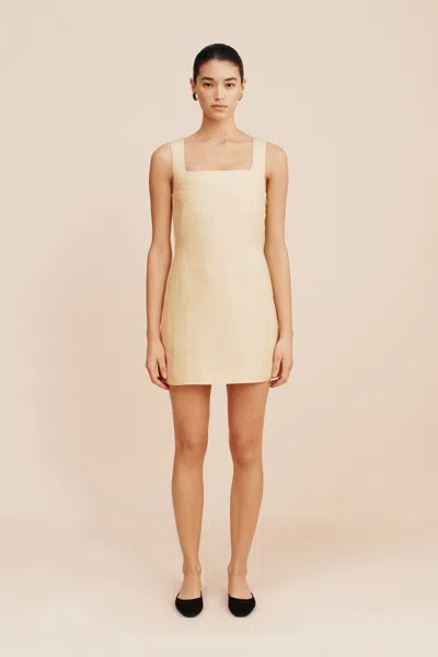 The Posse Alice Mini Dress In Dusty Citron