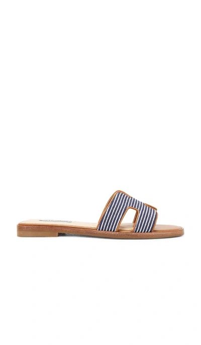 Steve Madden Hadyn Slides In Navy & White