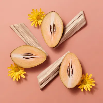 Hermes Women's Hermèsistible Infused Lip Care Oil In 01 Beige Sapotille