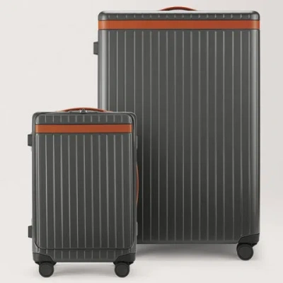 Carl Friedrik Check-in And Carry-on Luggage Set - Polycarbonate And Aluminium - Gray / Cognac Brown