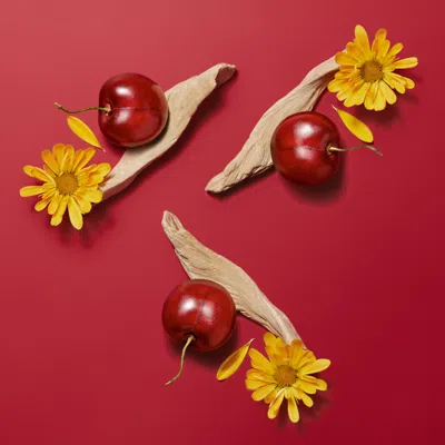 Hermes Women's Hermèsistible Infused Lip Care Oil In 04 Rouge Amarelle