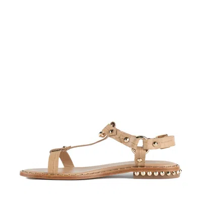 Ash Crocodile Print Sandal With Studs In Beige