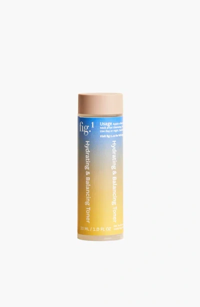Fig.1 Beauty Hydrating And Balancing Toner In Refill