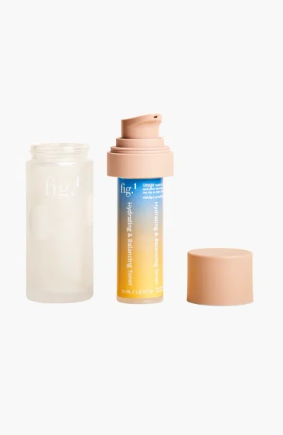 Fig.1 Beauty Hydrating And Balancing Toner In Refill