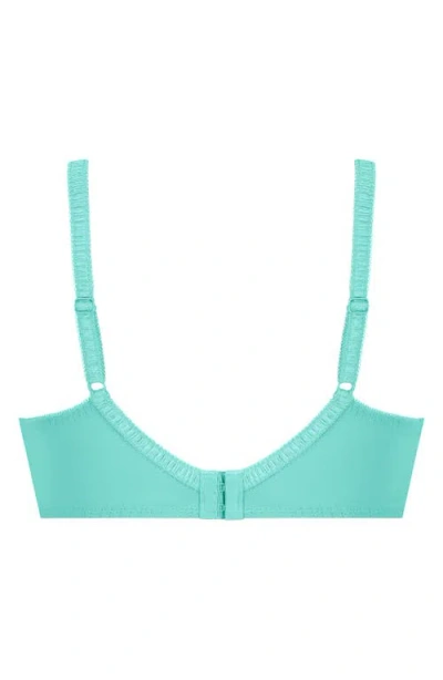 Hunkemoller Hunkemöller Diva Embrodiered Mesh Underwire Bra In Pool Blue