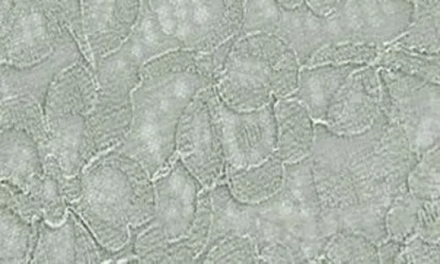 Hunkemoller Hunkemöller Marine Lace & Mesh Brazilian Panties In Iceberg Green