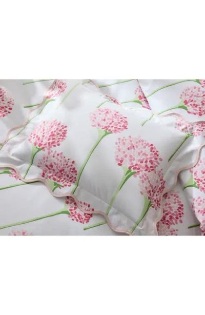 Matouk Floral Quilted Cotton Percale Sham In Peony