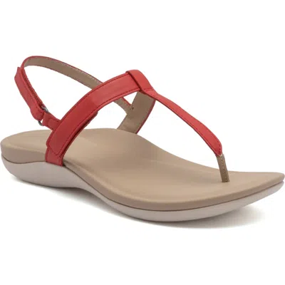 Abeo Oasis T Strap Sandal In Red - Regular