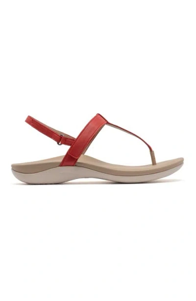 Abeo Oasis T Strap Sandal In Red - Regular