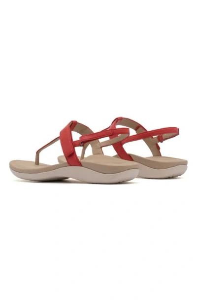 Abeo Oasis T Strap Sandal In Red - Regular