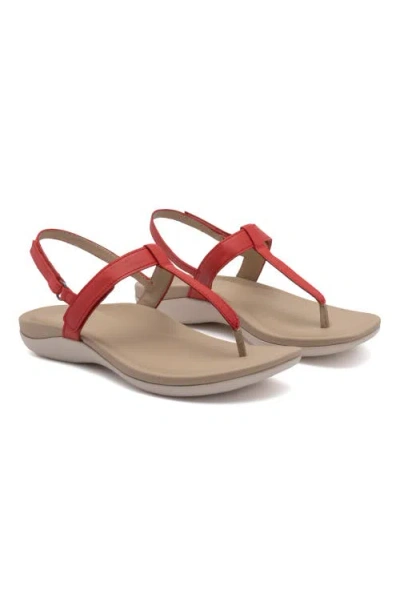 Abeo Oasis T Strap Sandal In Red - Regular