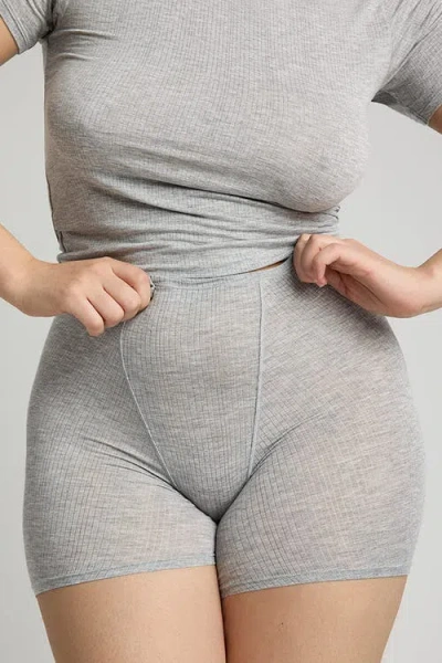 Negative Underwear Whipped Boxer In Heather Grey