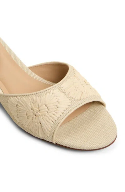 Ted Baker London Everly Slide Sandal In Natural