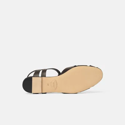 Scarosso Gala Fisherman Sandals In Brown