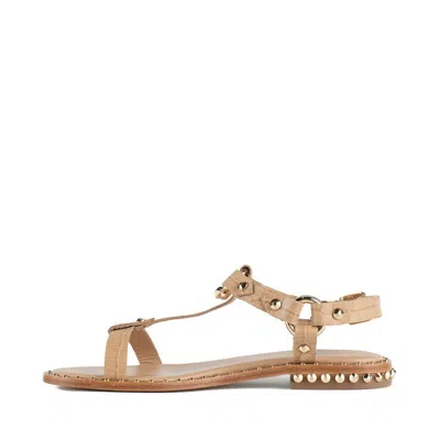 Ash Crocodile Print Sandal With Studs In Beige