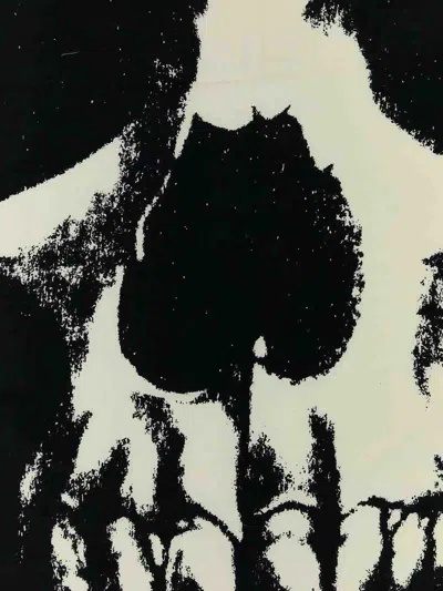 Alexander Mcqueen Foulard With Printing In Black