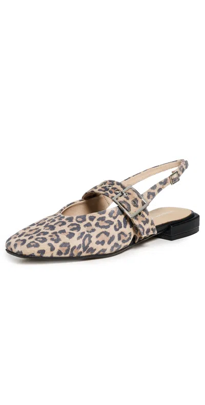 Intentionally Blank Pearl Ballet Flats Leopard In Leopard