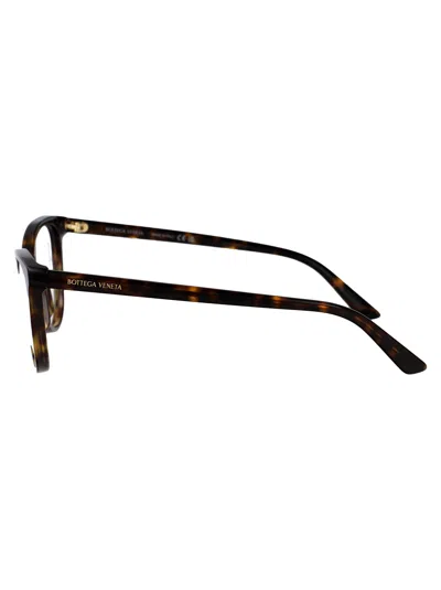 Bottega Veneta Bv1313o Glasses In Havana-havana-transparent