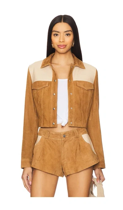 Understated Leather Combo Fringe Jacket In Brown