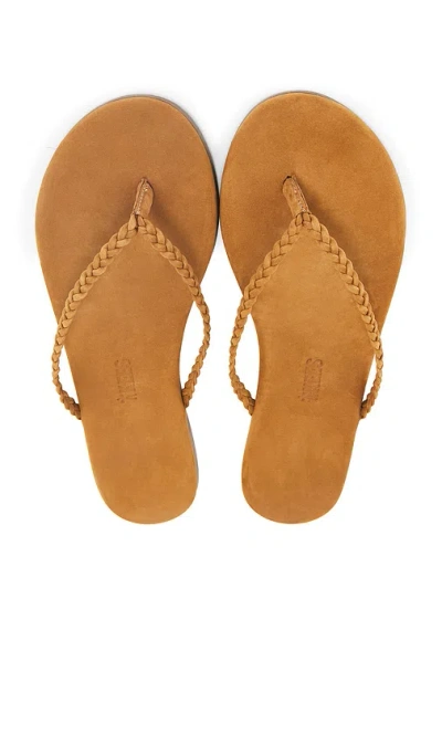 Tkees Lily Braid Sandal In Camel