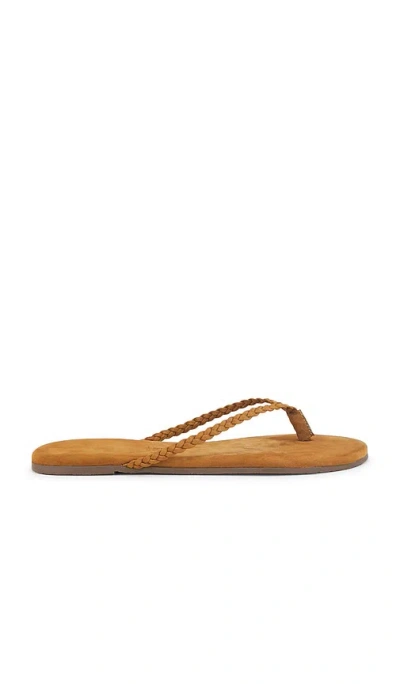 Tkees Lily Braid Sandal In Camel