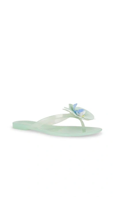 Steve Madden Poppyseed Flip Flops In Mint