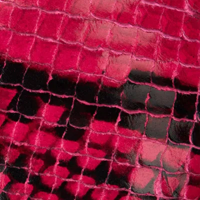 Roberto Cavalli Python Print Pumps With Monogram Mirror Snake In Fuchsia