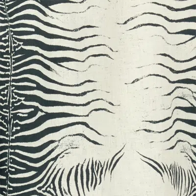 Roberto Cavalli Zebra-print Shorts In White