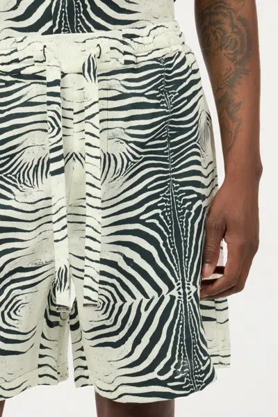 Roberto Cavalli Zebra-print Shorts In White
