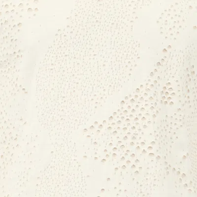 Roberto Cavalli Top With Python Motif In Ivory