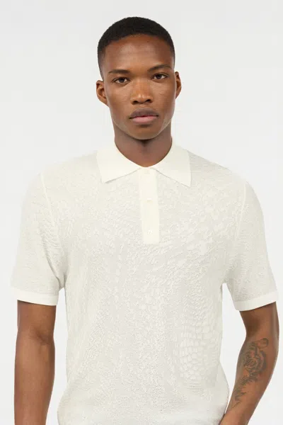 Roberto Cavalli Patterned-jacquard Polo Shirt In Ivory