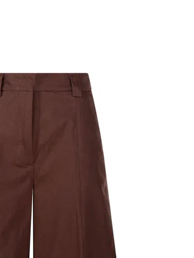 The Latest Pants C-axel In Brown