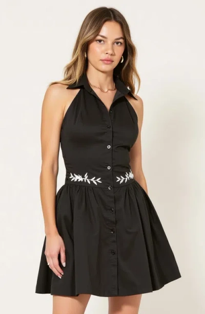 Modenaire Embroidered Waist Button-front Halter Mini Dress With Smocked Open Back In Black