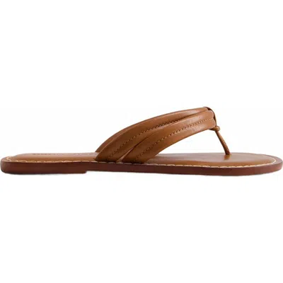 Bernardo Footwear Miami Thong Sandal In Mahogany