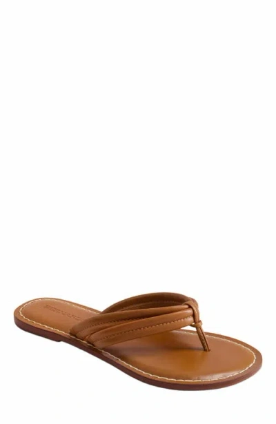 Bernardo Footwear Miami Thong Sandal In Mahogany