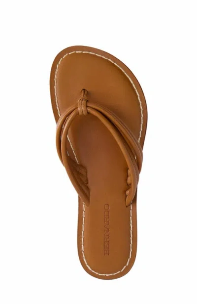Bernardo Footwear Miami Thong Sandal In Mahogany