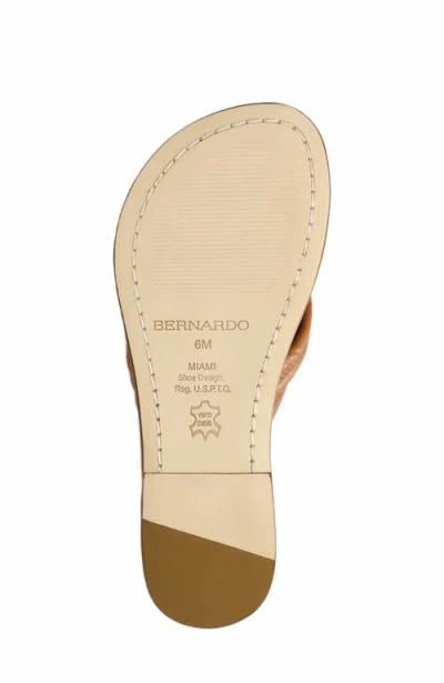 Bernardo Footwear Miami Thong Sandal In Mahogany