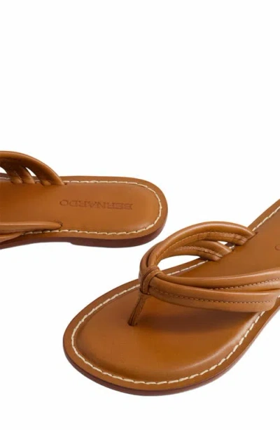 Bernardo Footwear Miami Thong Sandal In Mahogany