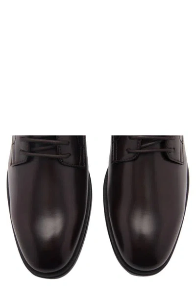 Mango Plain Toe Derby In Brown