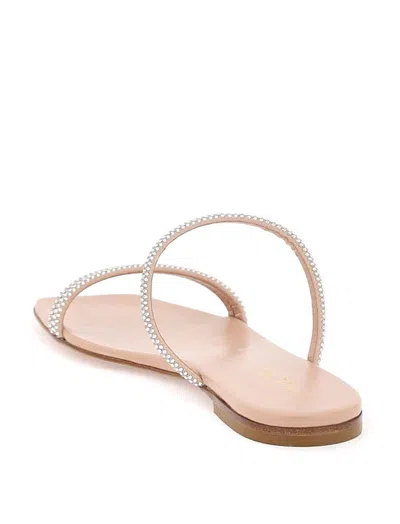 Gianvito Rossi Woman Sandals Blush Size 6.5 Leather In Pink