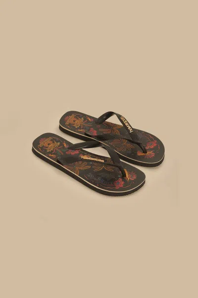 Farm Rio Classic Nature Havaianas
