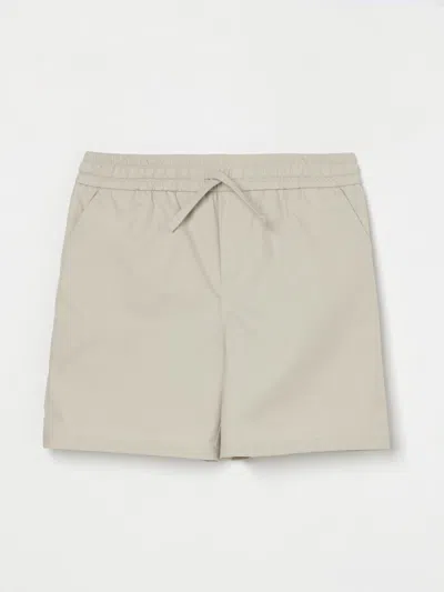 Dolce & Gabbana Shorts  Kids Color Beige In Beige