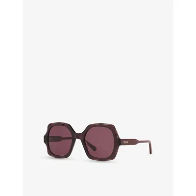 Chloé Womens Purple Ch0226s Square-frame Acetate Sunglasses In Brown-brown-copper