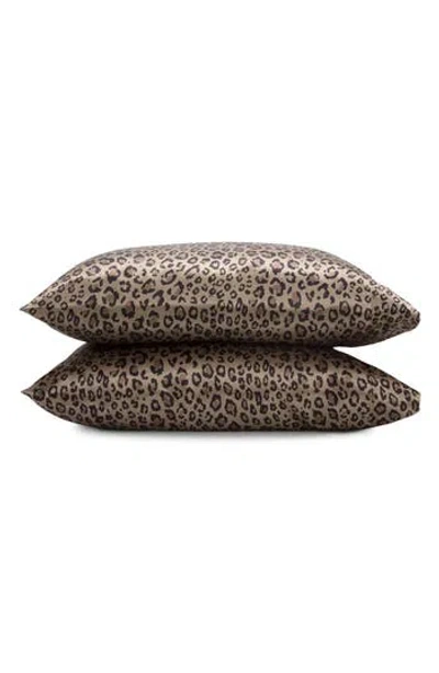 Martex Set Of 4 Elegance Leopard Pillowcases In Leopard