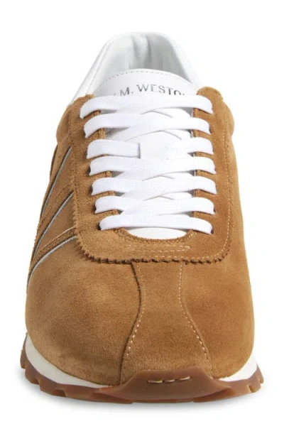 Jm Weston Animation On My Way Sneaker In Brown
