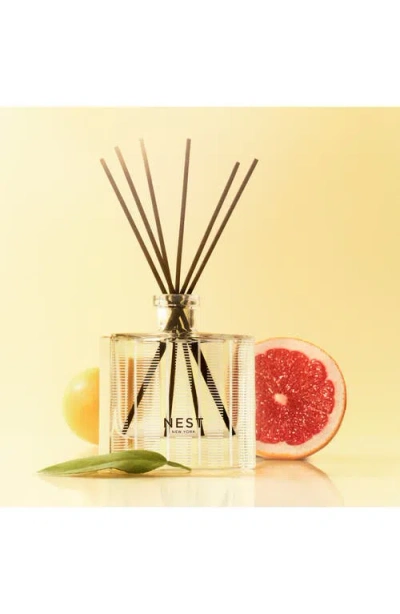 Nest New York Grapefruit Reed Diffuser In No Color